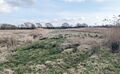 E2.1: Mesotrophes Dauergrasland und nachbeweidete Wiesen