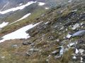 E4.1 Schneeböden und Schneetälchen