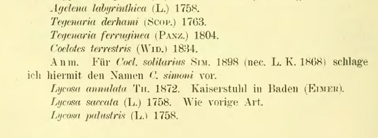 Datei:CoelotesSimoniStrandText.jpg
