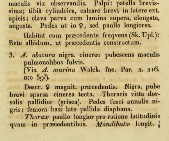 Datei:SundevallObscuraText1.jpg