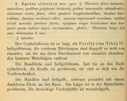 Datei:FickertSilesiacaText1.jpg