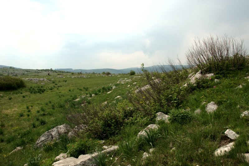 Datei:Plateau 03.jpg