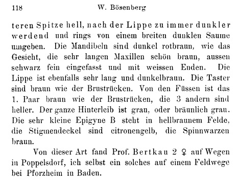 Datei:BoesenbergVoigtiiText2.jpg