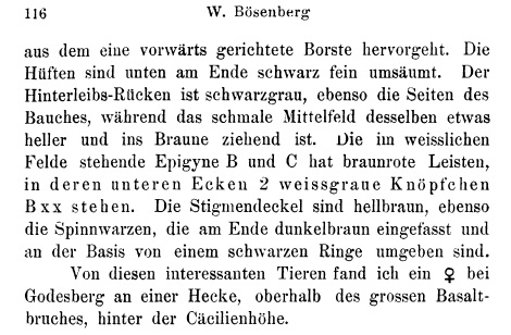Datei:BoesenbergLudoviciText2.jpg