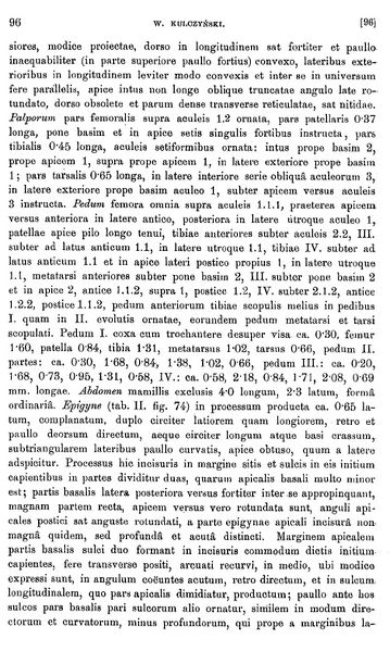 Datei:KulcSaltuumText2.jpg
