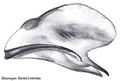 Embolus