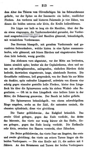 Datei:KochHolosericeaText3.jpg