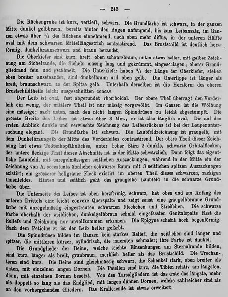 Datei:LebertObscuraText2.JPG